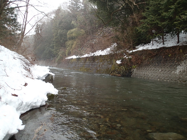 ゆずりはら青少年自然の里にほど近い鶴川の流れ。あたり一帯は雪化粧のまま