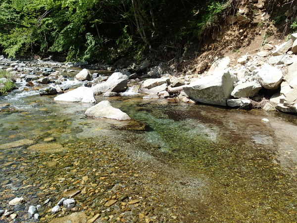 鹿留川の清冽な流れ。水量はやや少なめか